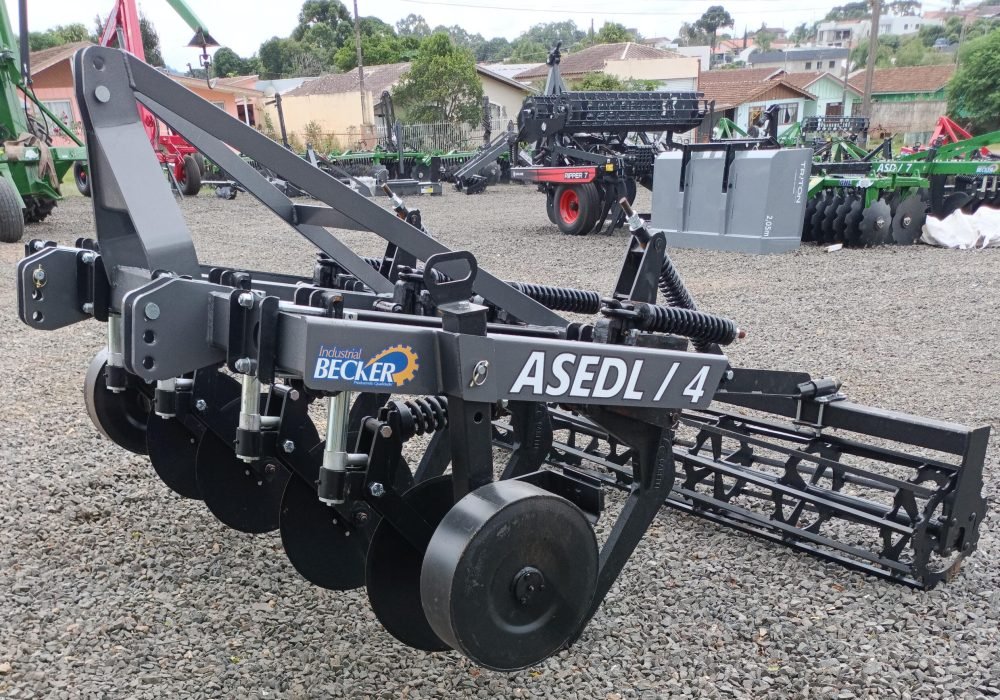 WhatsApp Image 2025-10-23 at 17.25.06