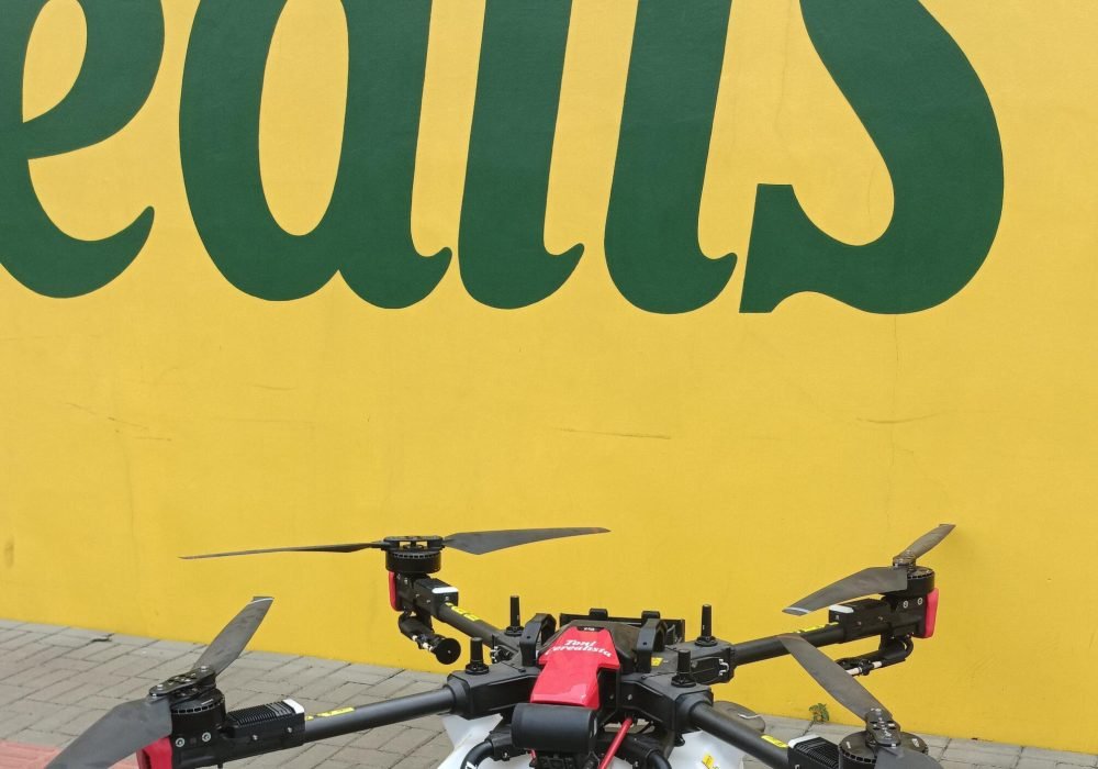 WhatsApp Image 2025-10-23 at 17.26.52